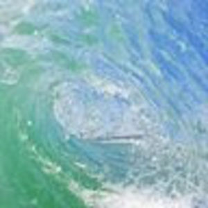 Meet your Posher, Tim